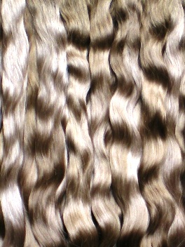 lbbrown